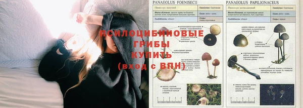 бошки Абдулино