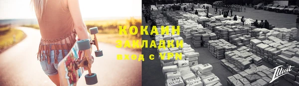 ПСИЛОЦИБИНОВЫЕ ГРИБЫ Абаза