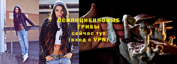 ПСИЛОЦИБИНОВЫЕ ГРИБЫ Абаза
